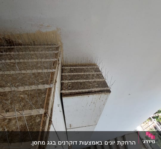 דוקרנים למניעת קינון יונים על מדף חיצוני